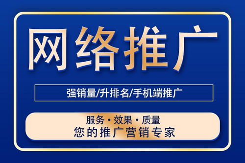 網(wǎng)絡推廣的全面解析 技巧與信息技術服務
